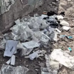 Review of Cleanliness Initiatives Across the City